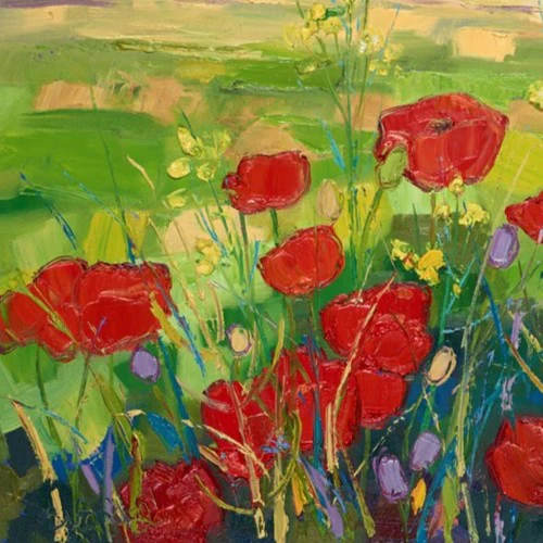 Poppy Fields With Yellow Flowers Near York - Image 3
