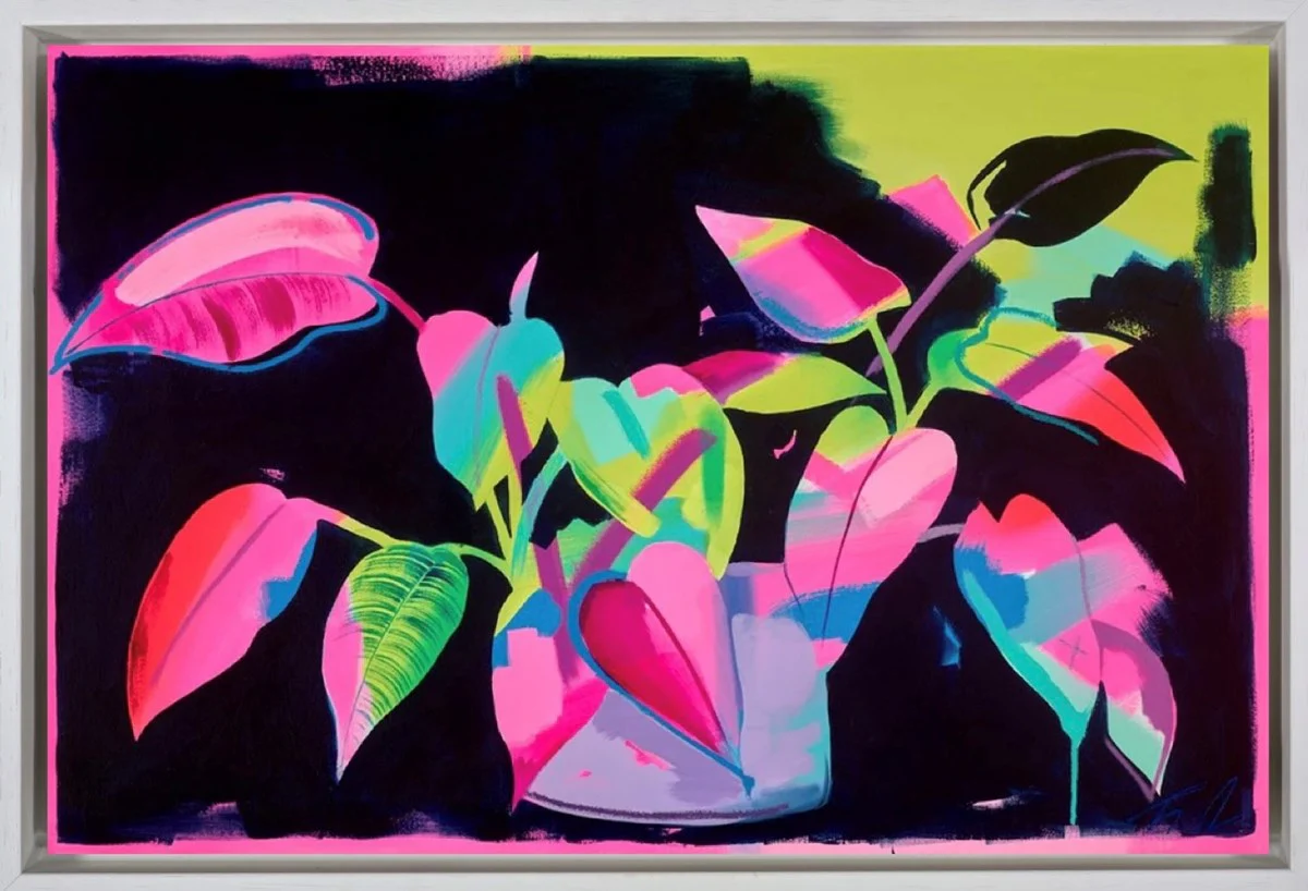 Pothos At Night