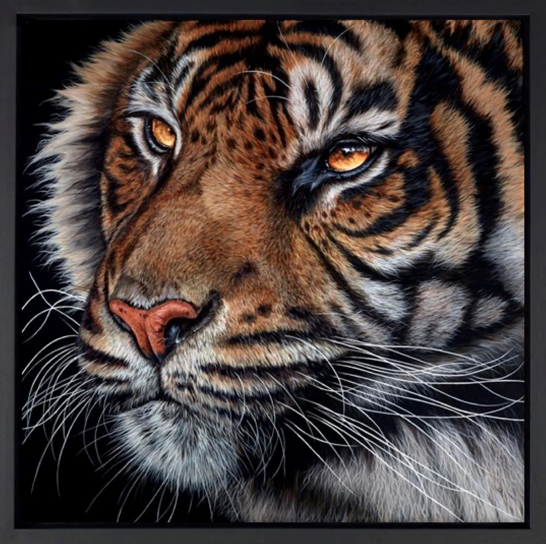 Predator