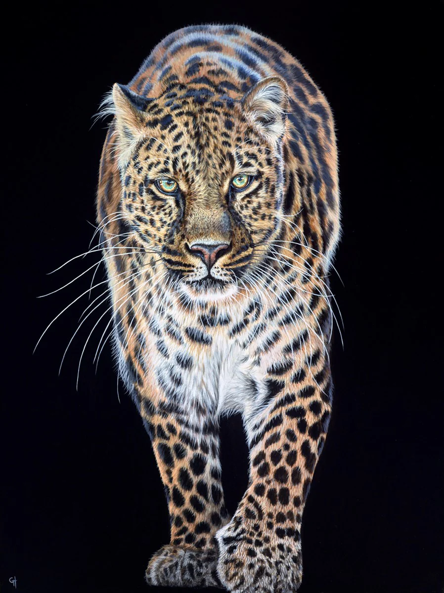 Prowling Leopard - Image 2