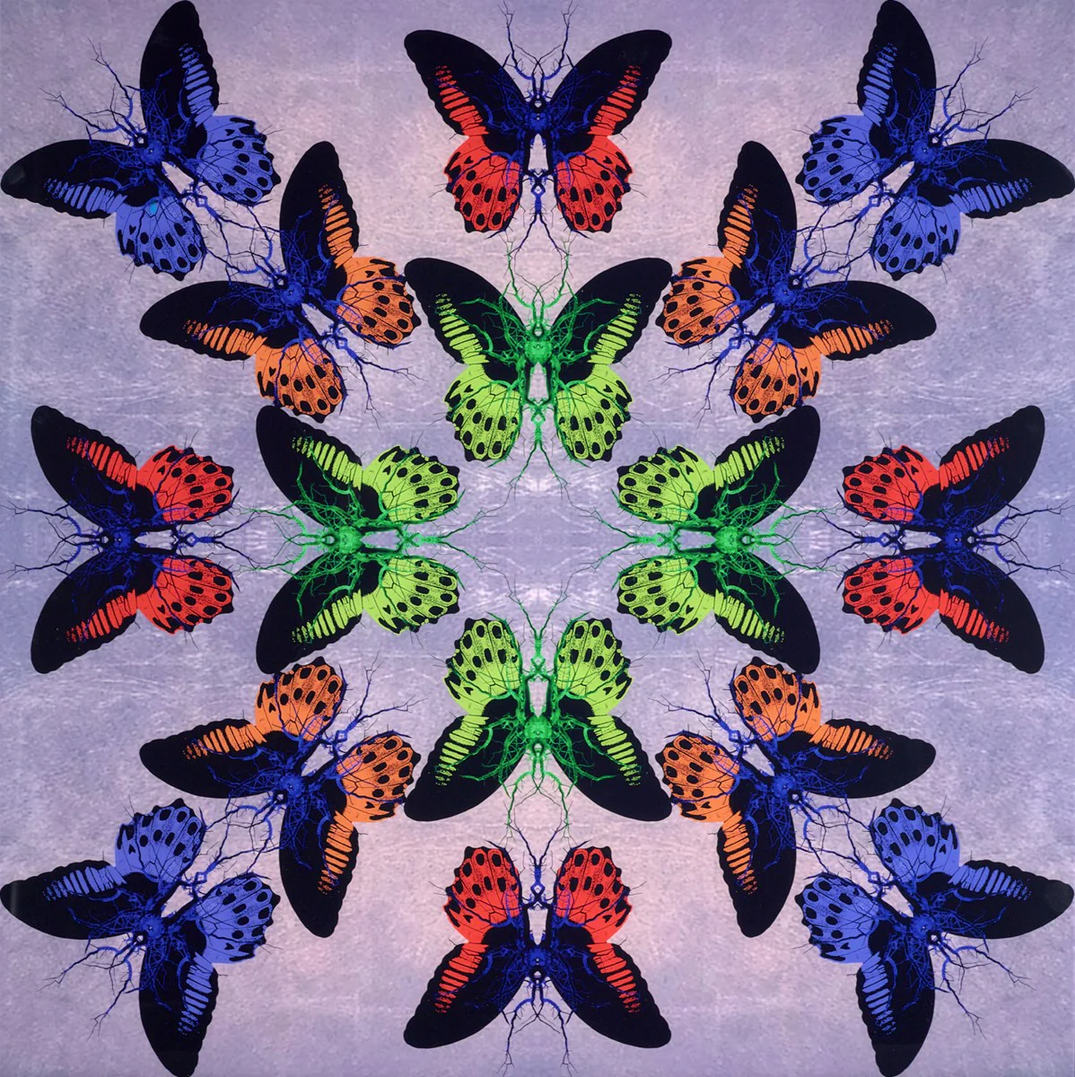 Purple Collide - Image 2