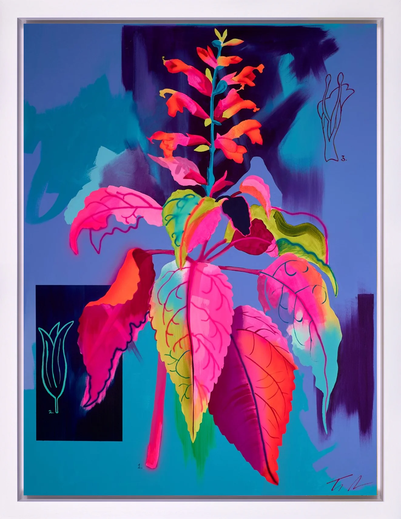 Rainbow Sage