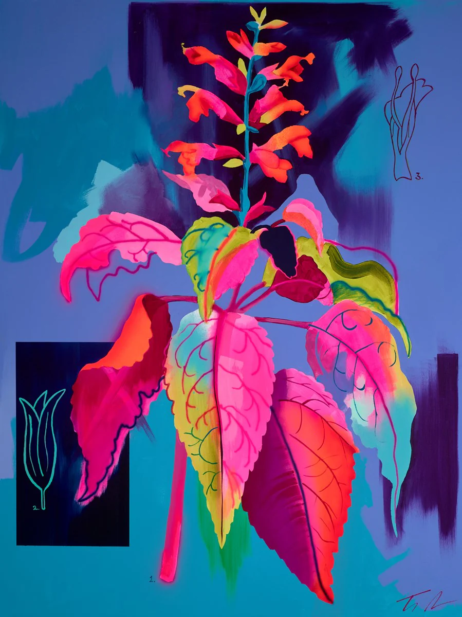 Rainbow Sage - Image 2