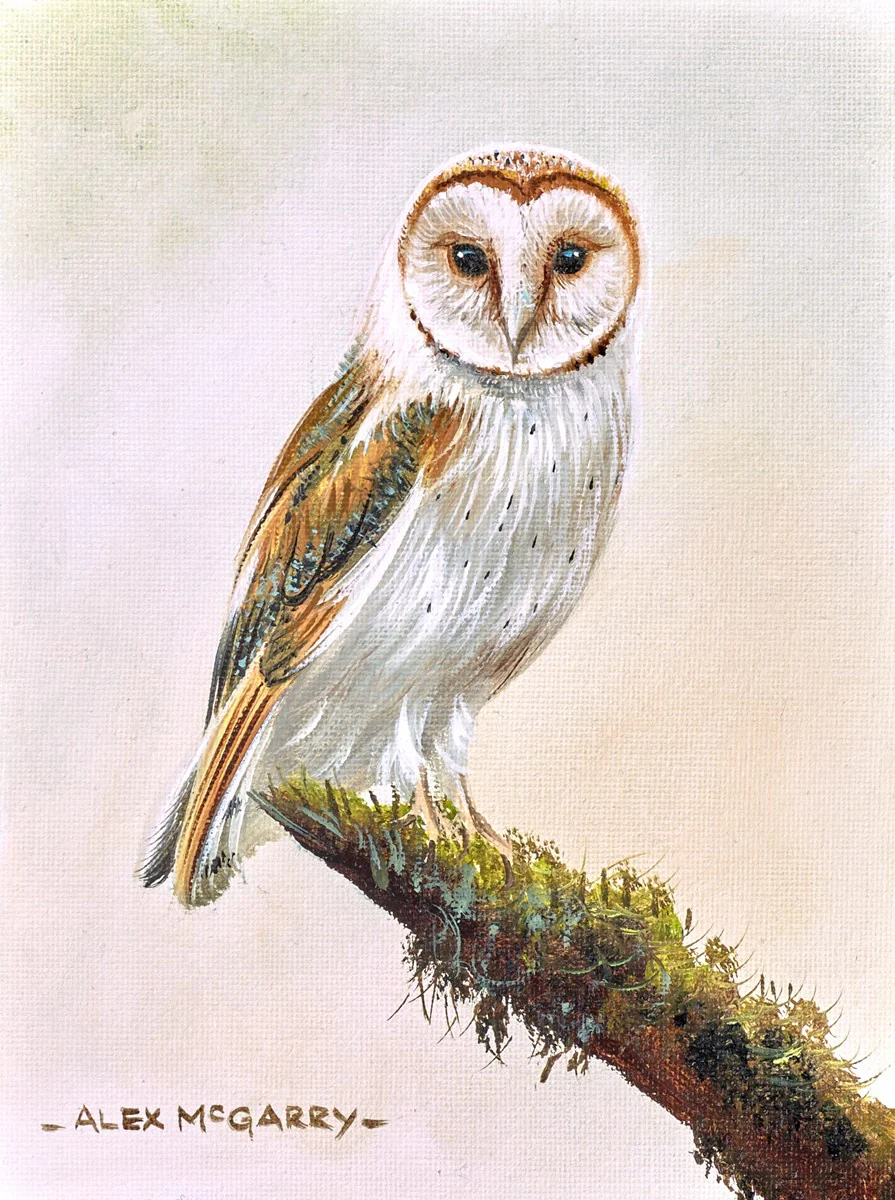 Ready To Fly III