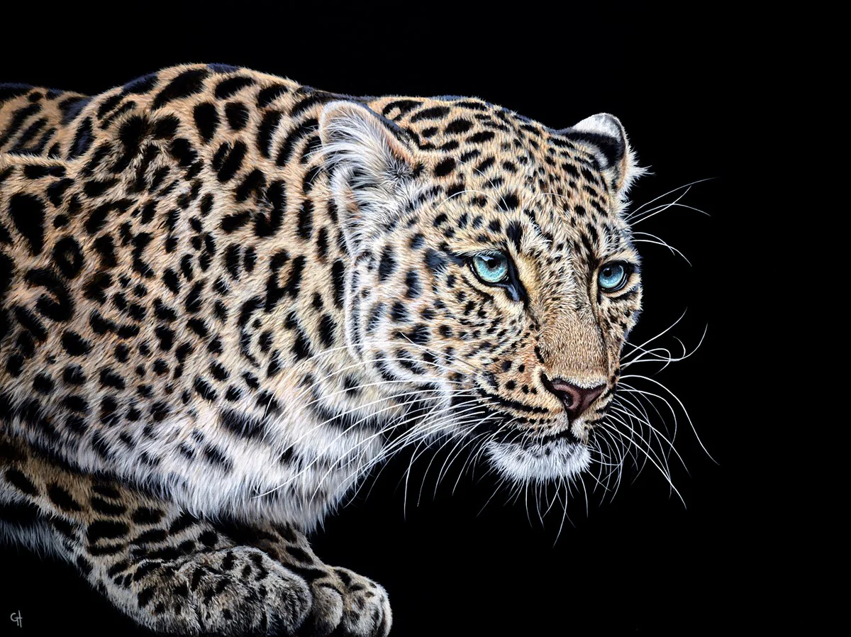Ready To Pounce - Image 2