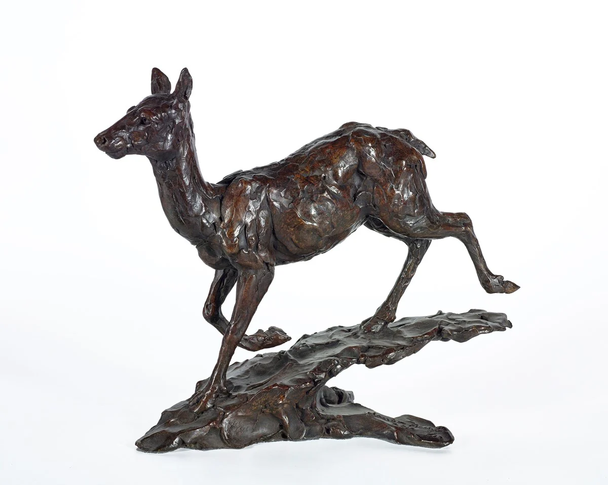 Red Deer Hind - 2012