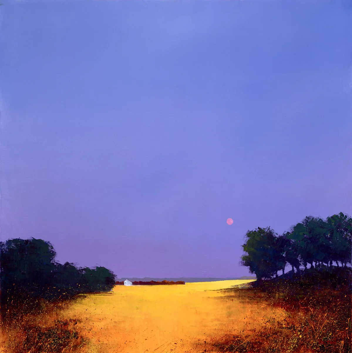 Red Sky At Night IV