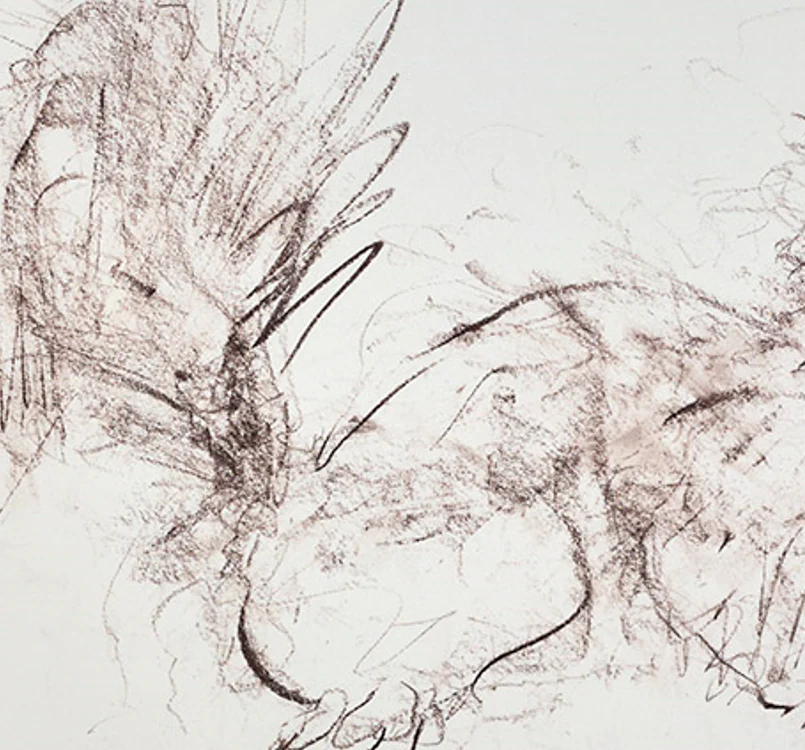 Red Squirrel Sketch II - Image 5