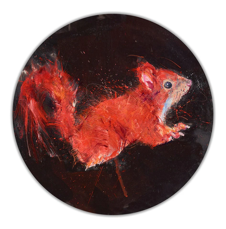 Red Squirrel Study - Image 2