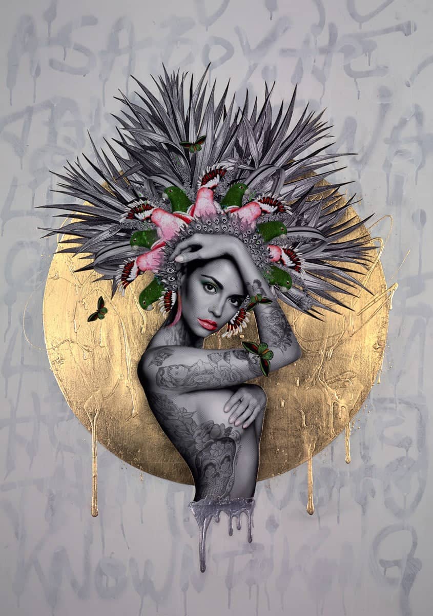 Reina De La Selva - Image 2
