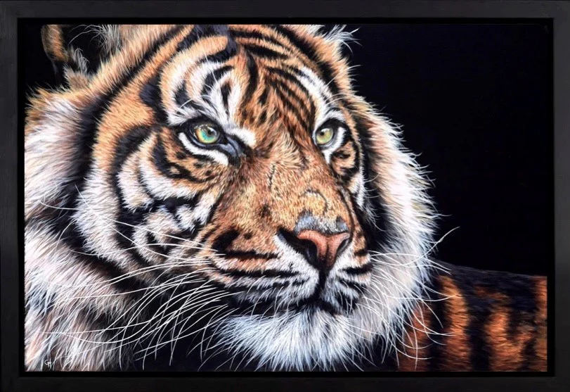 Relaxing Tiger