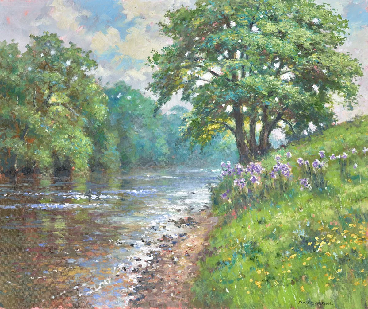 River Derwent (Thistles)