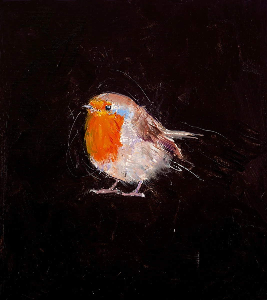 Robin - Image 3