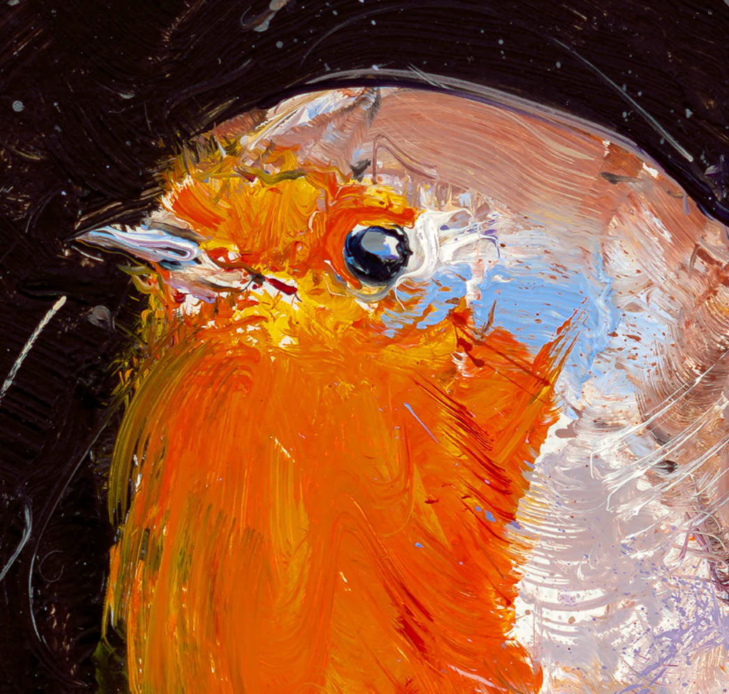 Robin - Image 4