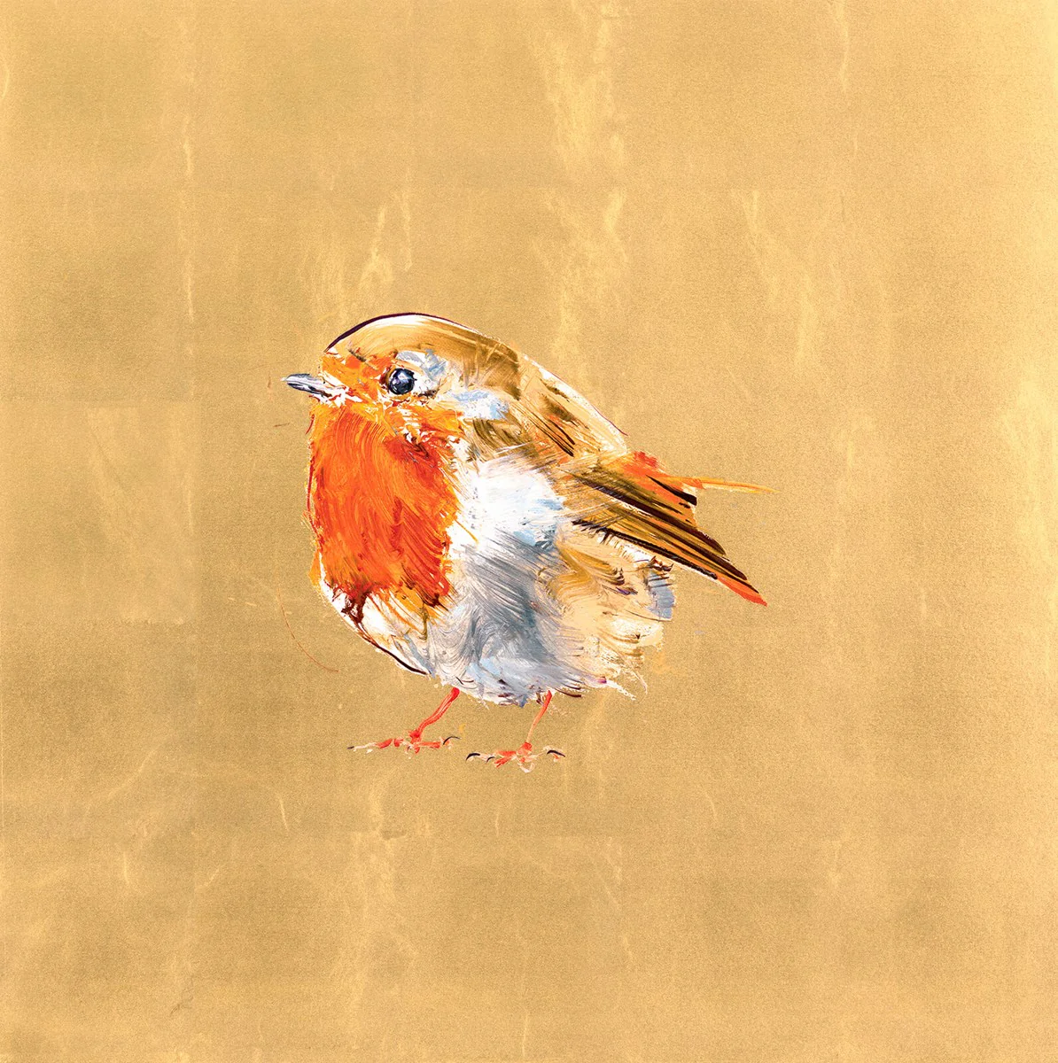 Robin - Image 3