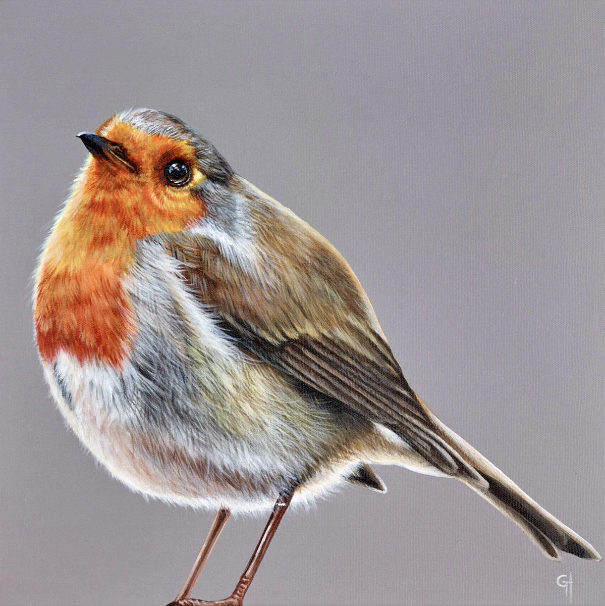 Robin