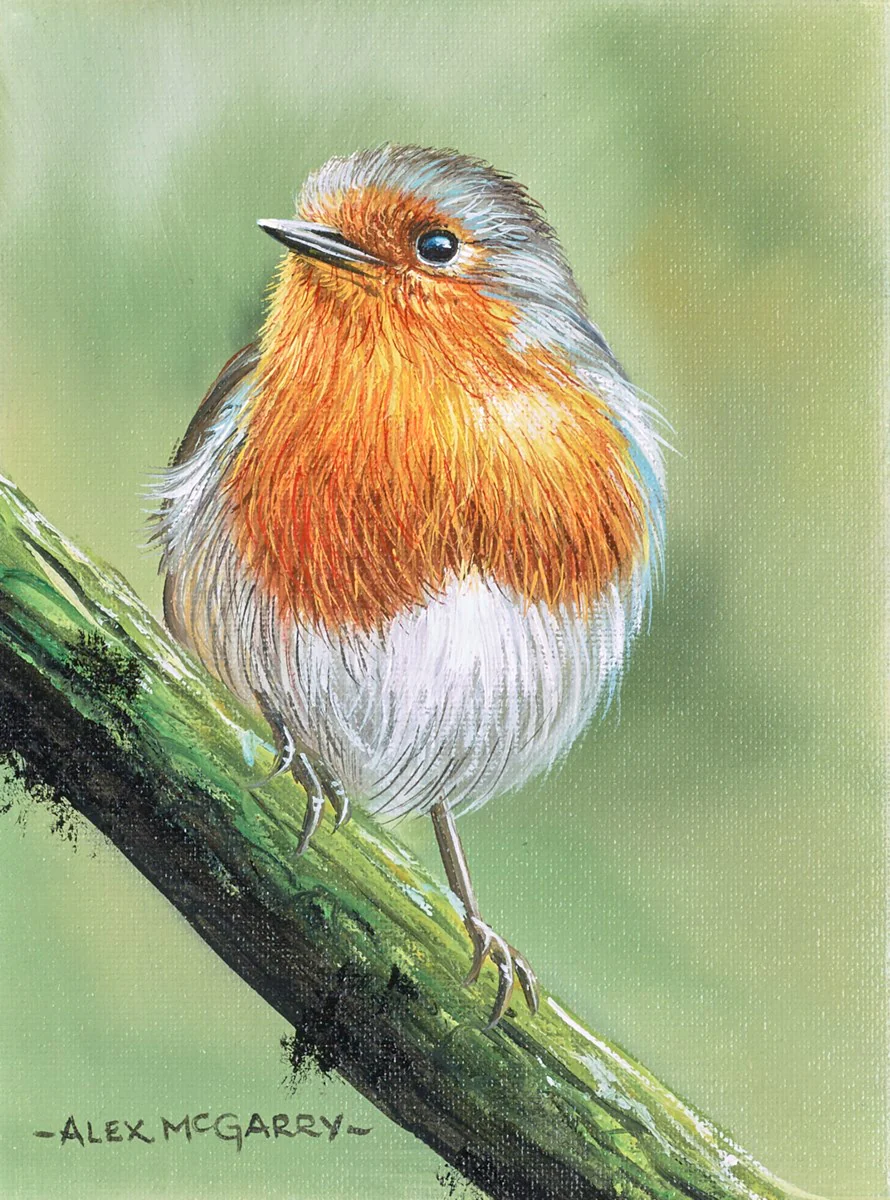 Robin At Rest
