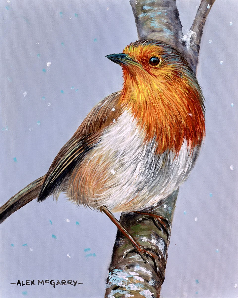 Robin On A Branch