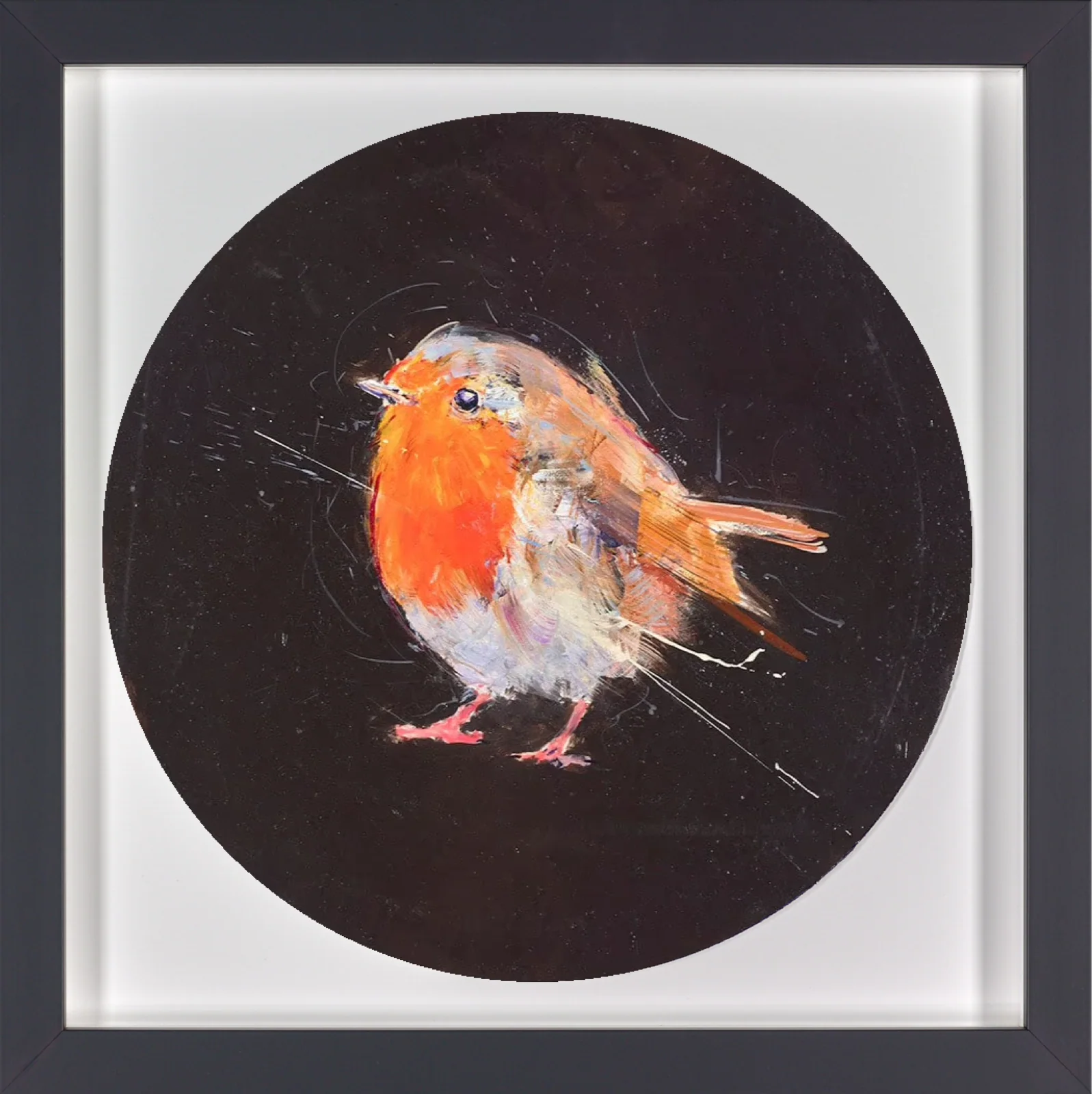 Robin Study II