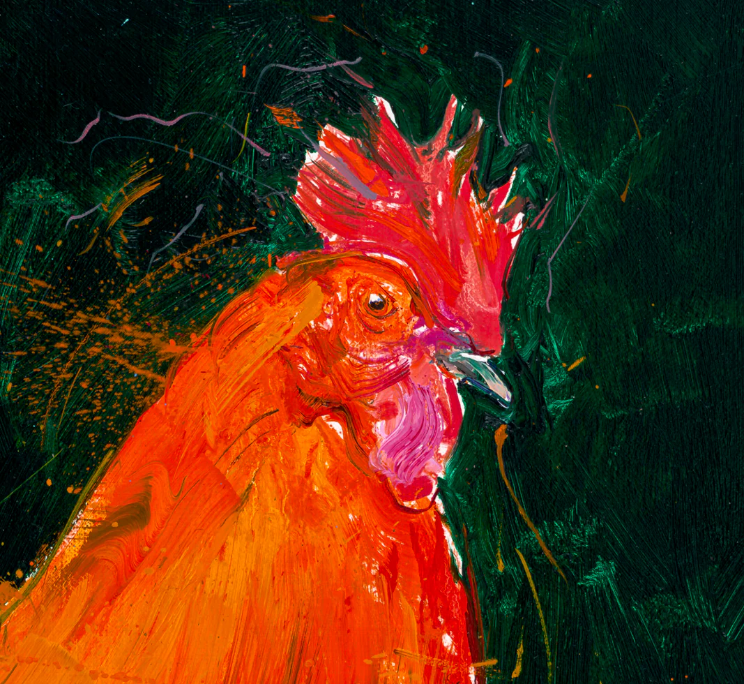 Rooster I - Image 4
