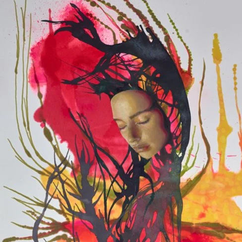 Rooted - Image 3