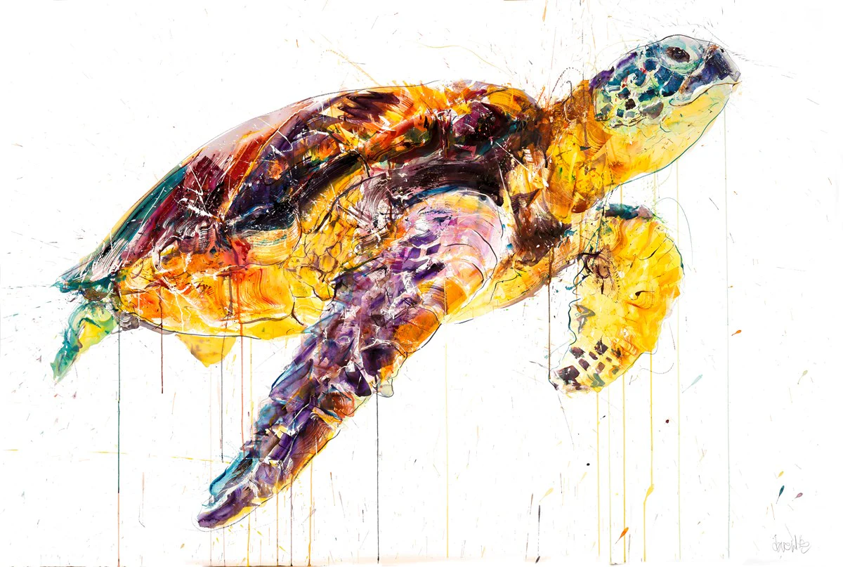 Sea Turtle 2020 (AP) - Image 3