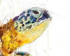 Sea Turtle 2020 (AP) - Image 4