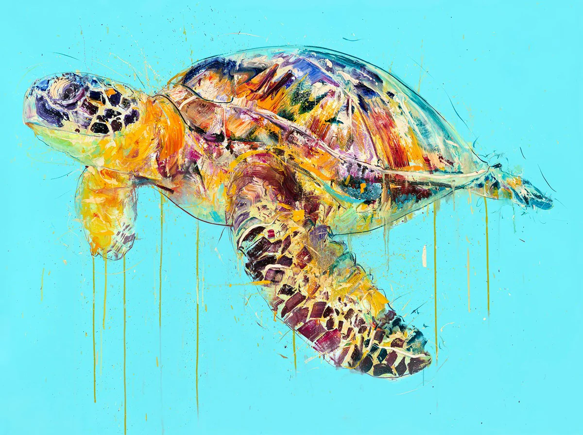 Sea Turtle - Image 3
