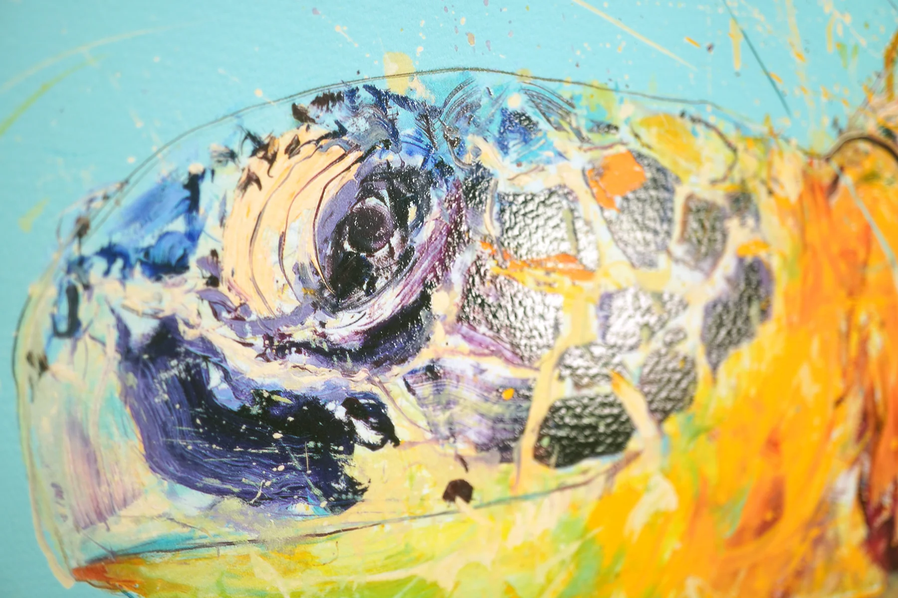 Sea Turtle - Image 4