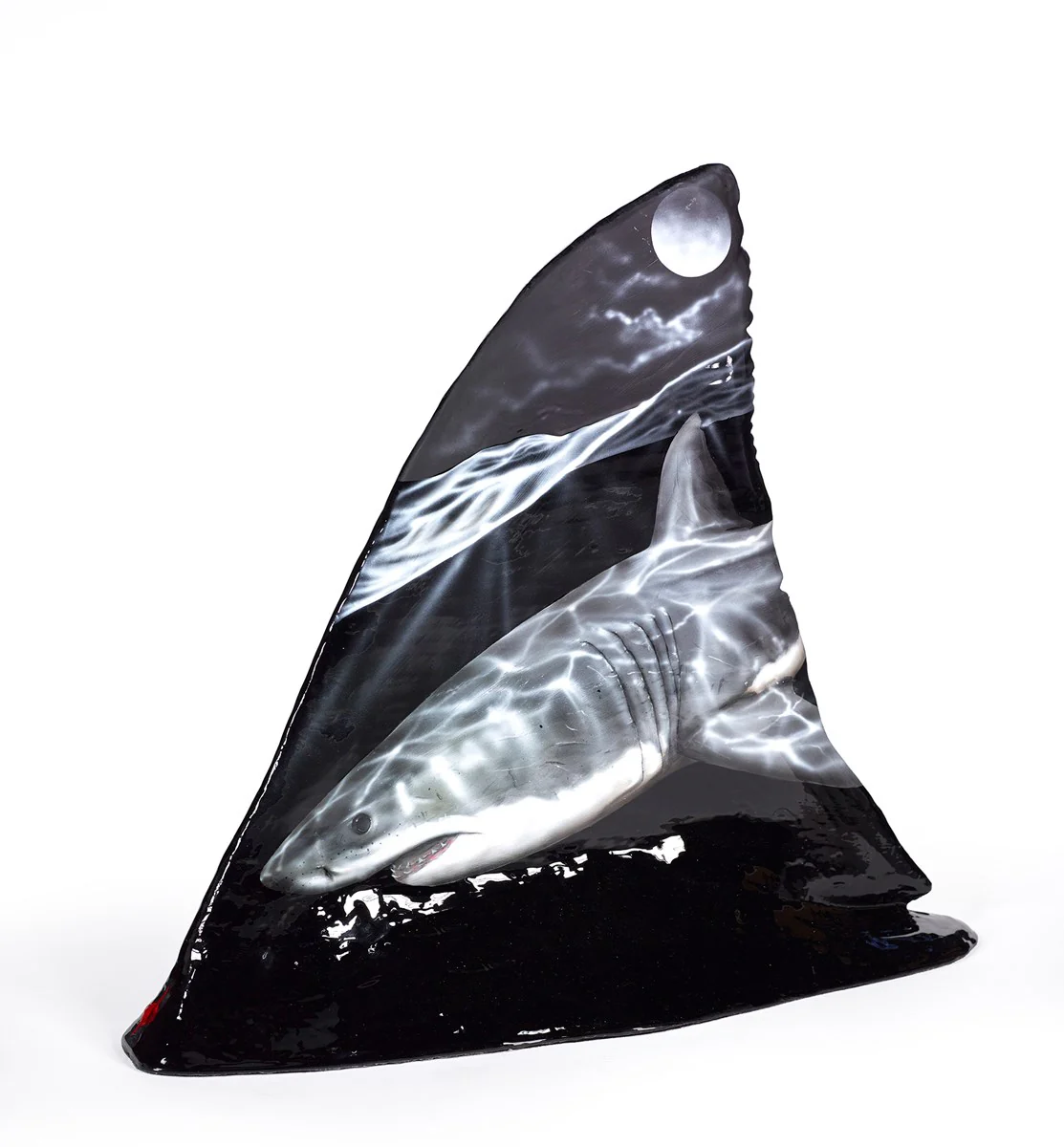 Shark Fin