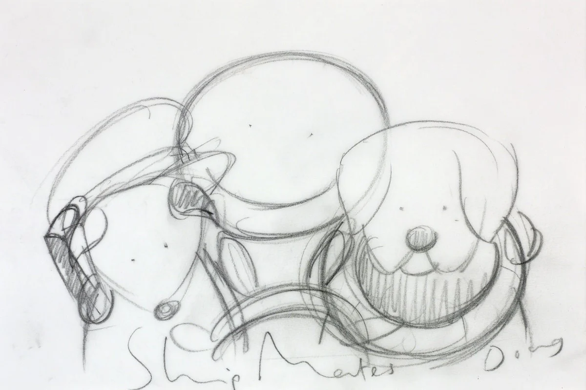 Shipmates (Study IV)