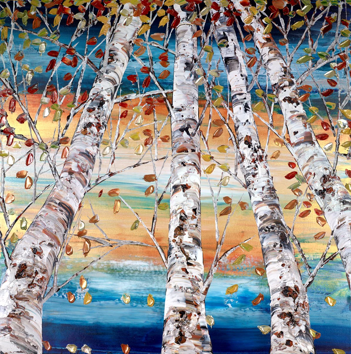 Silver Birch In Autumn