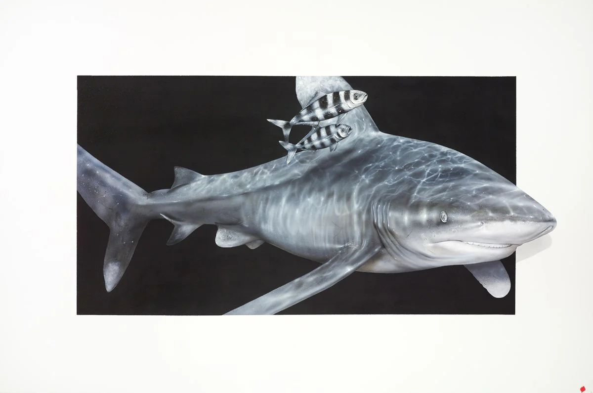 Siren - Image 2