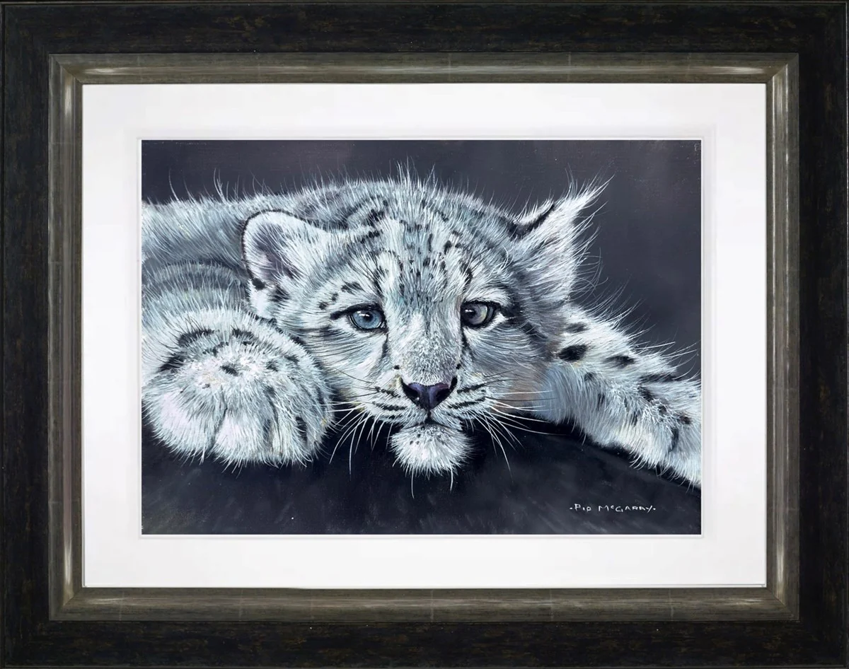 Snow Leopard Cub