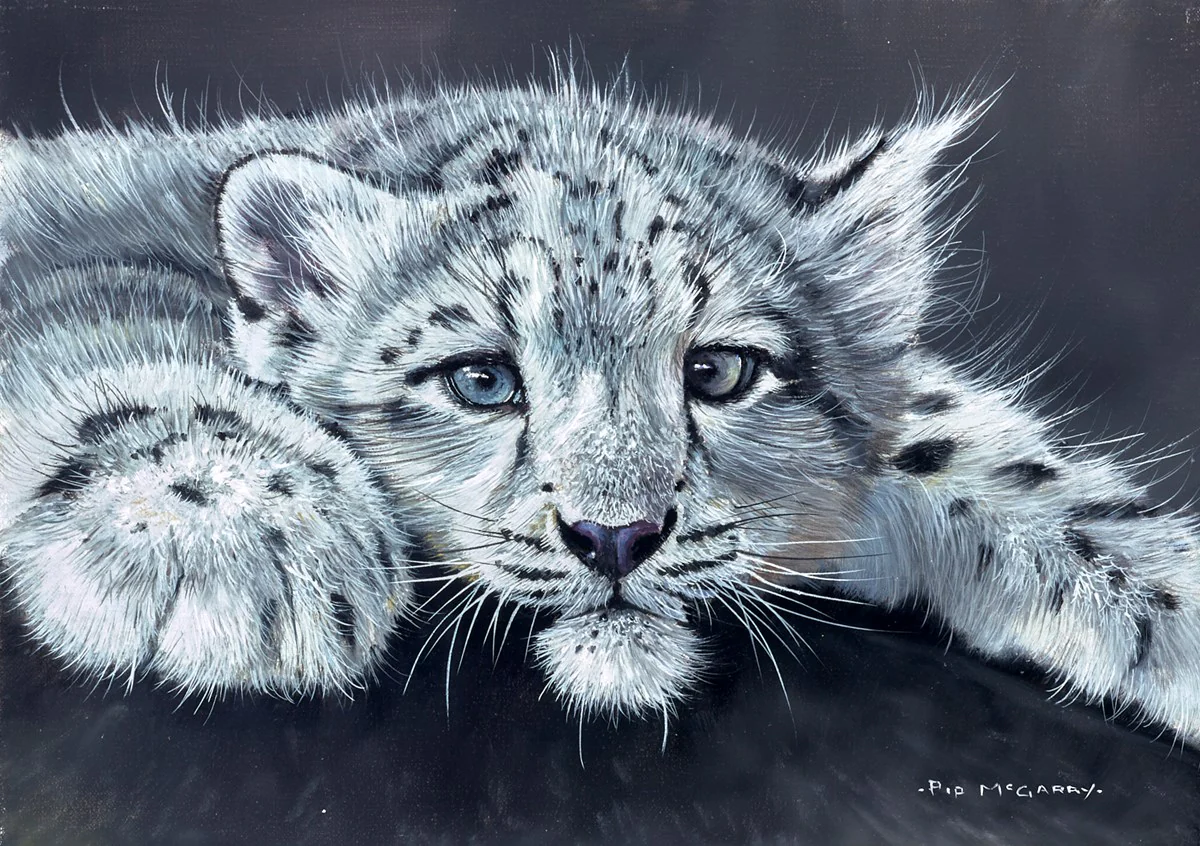 Snow Leopard Cub - Image 2