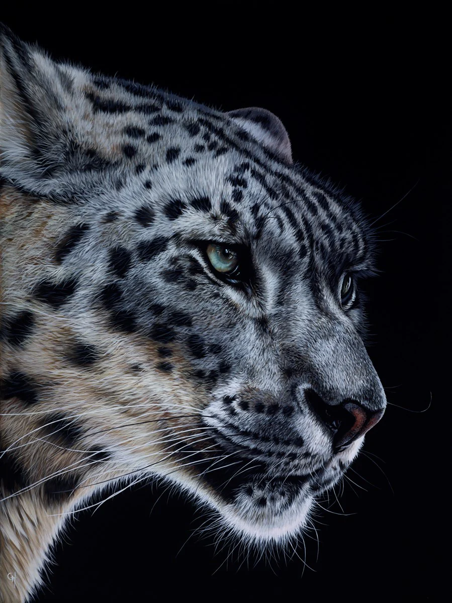 Snow Leopard VI