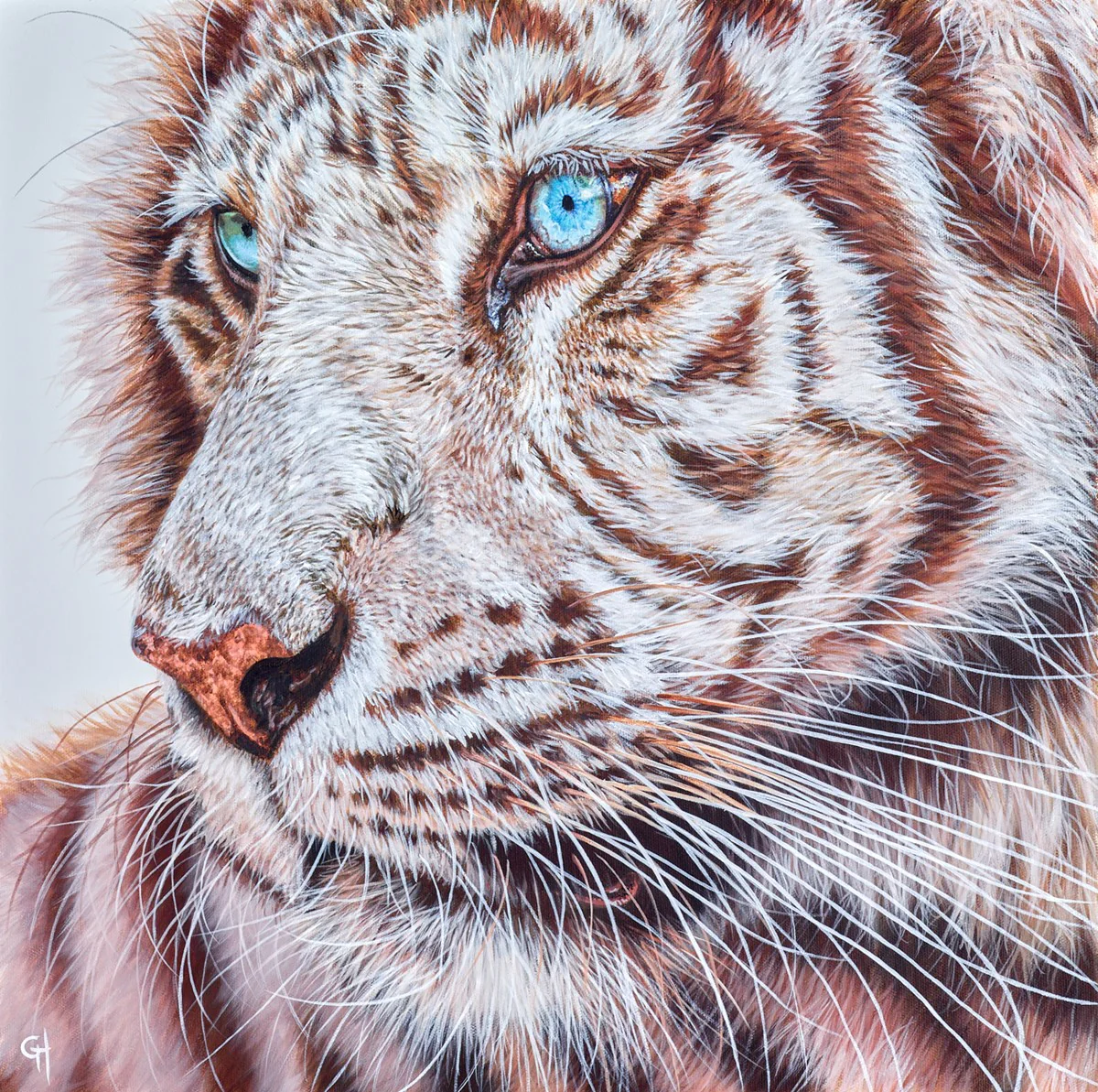 Snow Tiger - Image 2