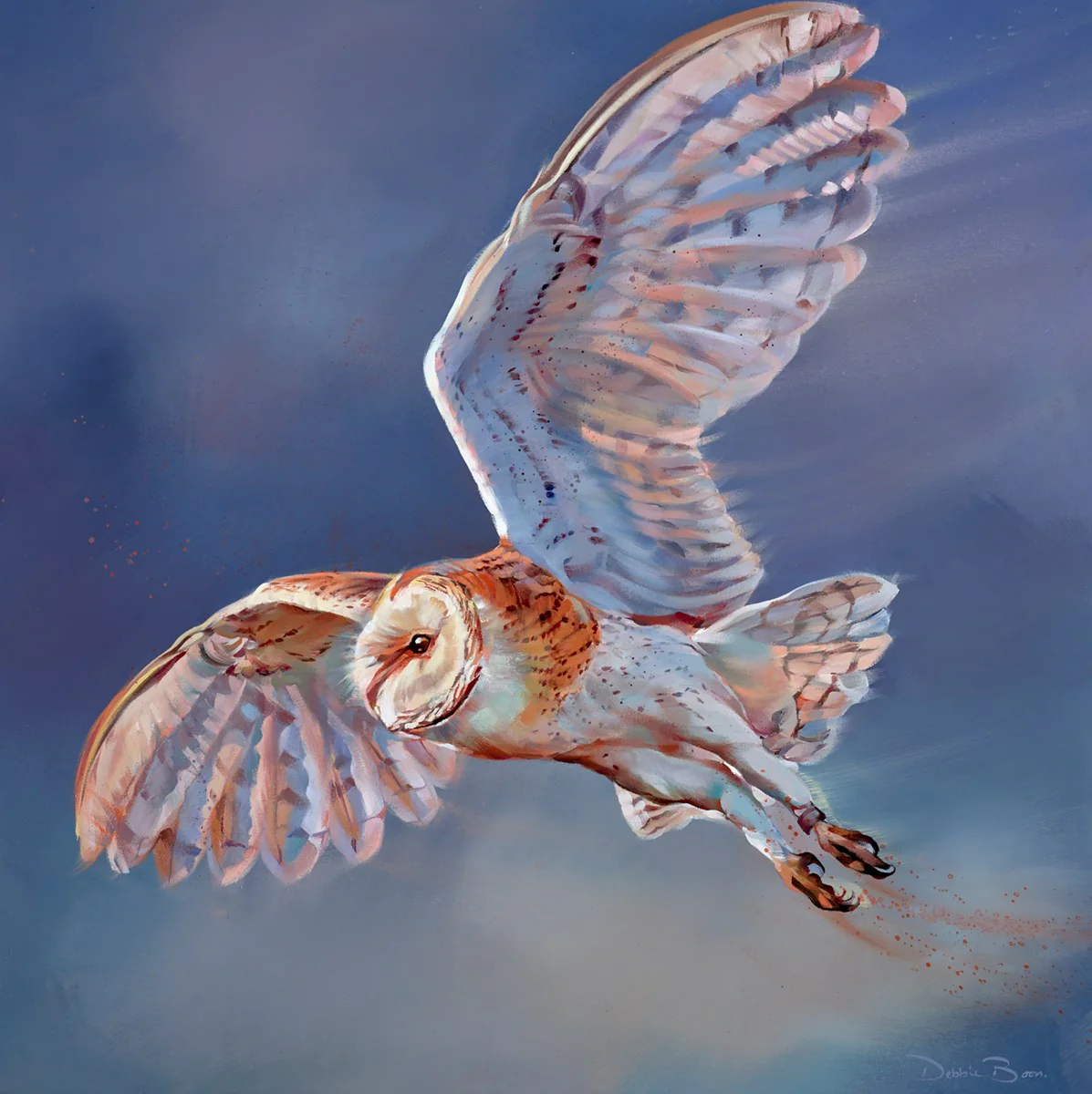 Softly Softly - Image 2