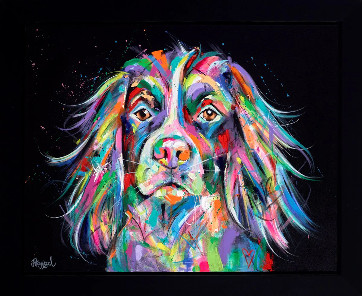 Spaniel