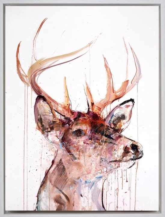 Stag IV