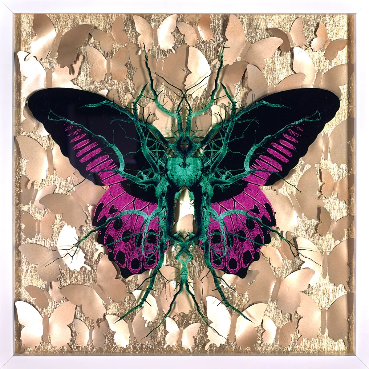 Stellar