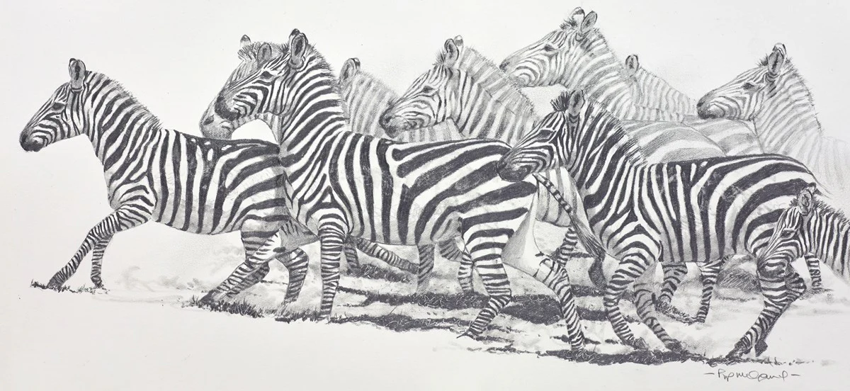 Stripes - Image 2