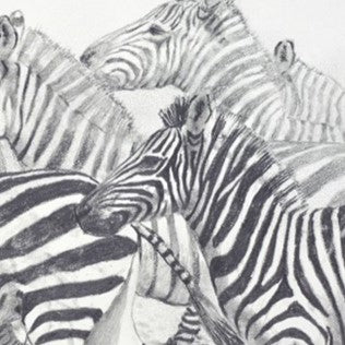 Stripes - Image 3