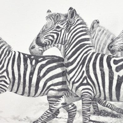 Stripes - Image 4