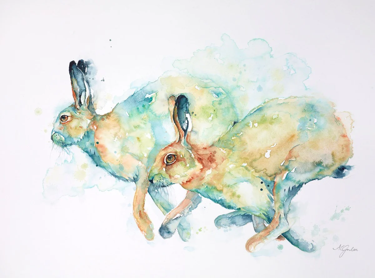 Summer Hares Racing