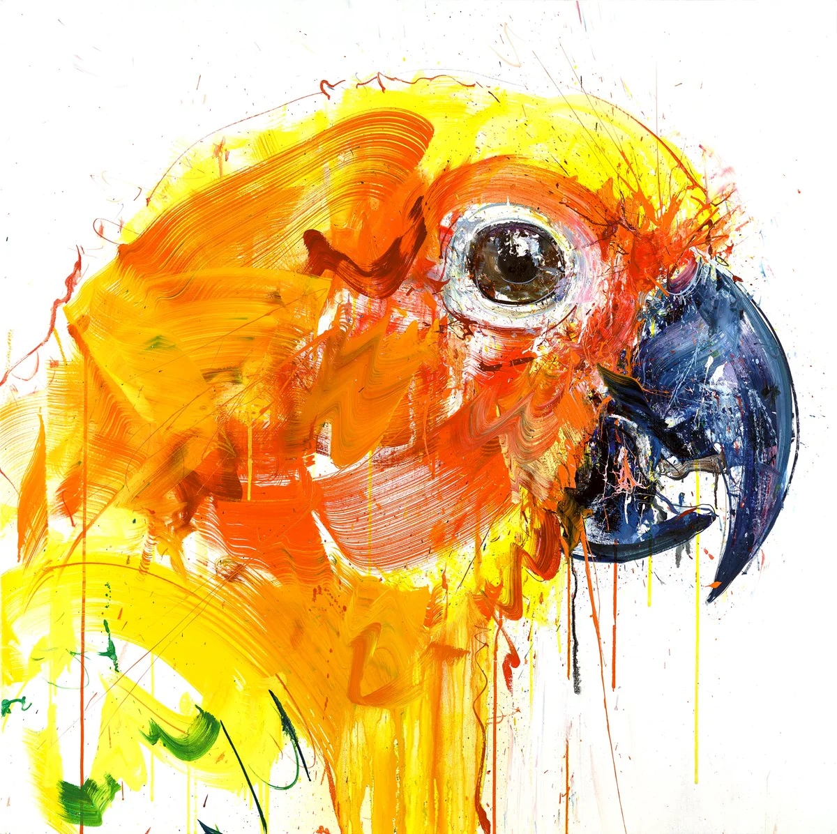 Sun Bird AP - Image 2