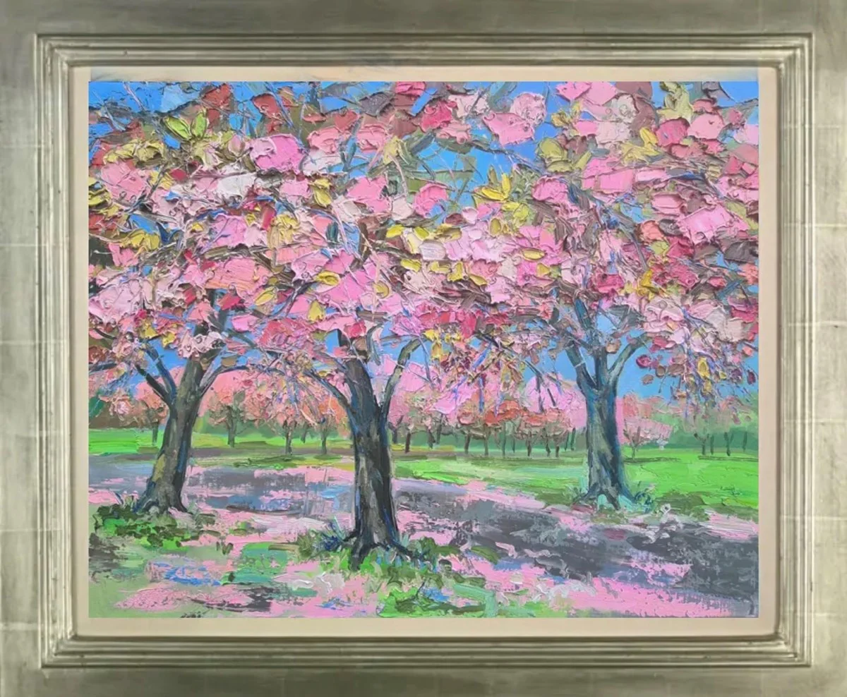 Sun On Cherry Blossom, The Meadows