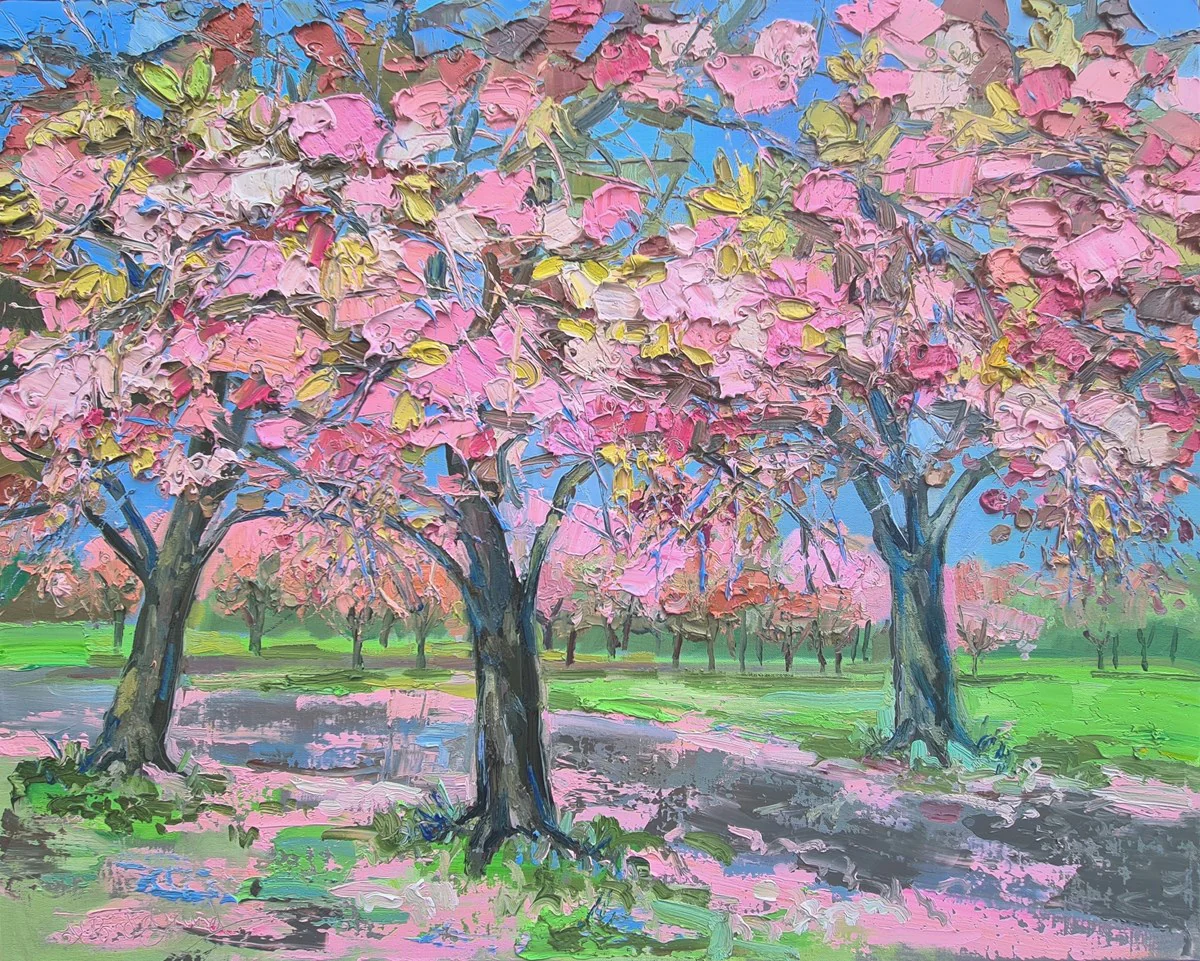 Sun On Cherry Blossom, The Meadows - Image 2