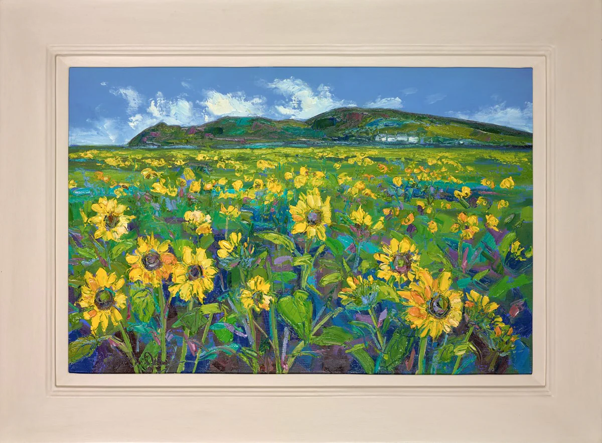 Sunflowers At Rhossili, Gower Peninsula