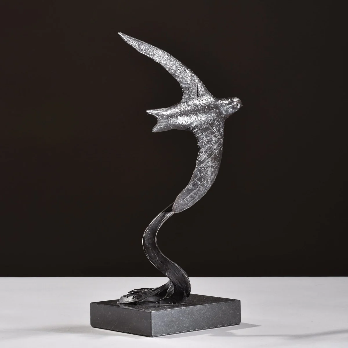 Swift Swooping - 2019